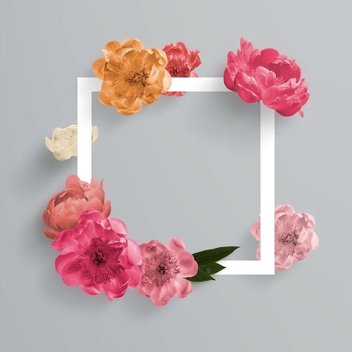 Che cos’è una welcome page​