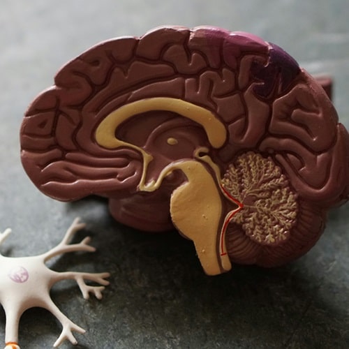 L'influenza del marketing sul cervello umano