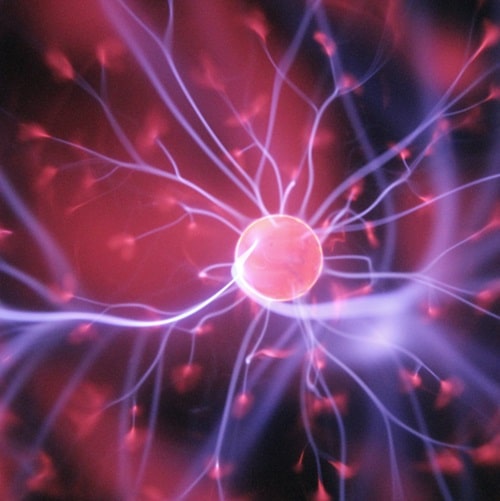 Il funzionamento del cervello e le decisioni di acquisto