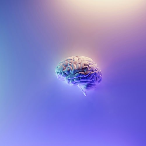 Neuromarketing: come il cervello influenza le decisioni di acquisto